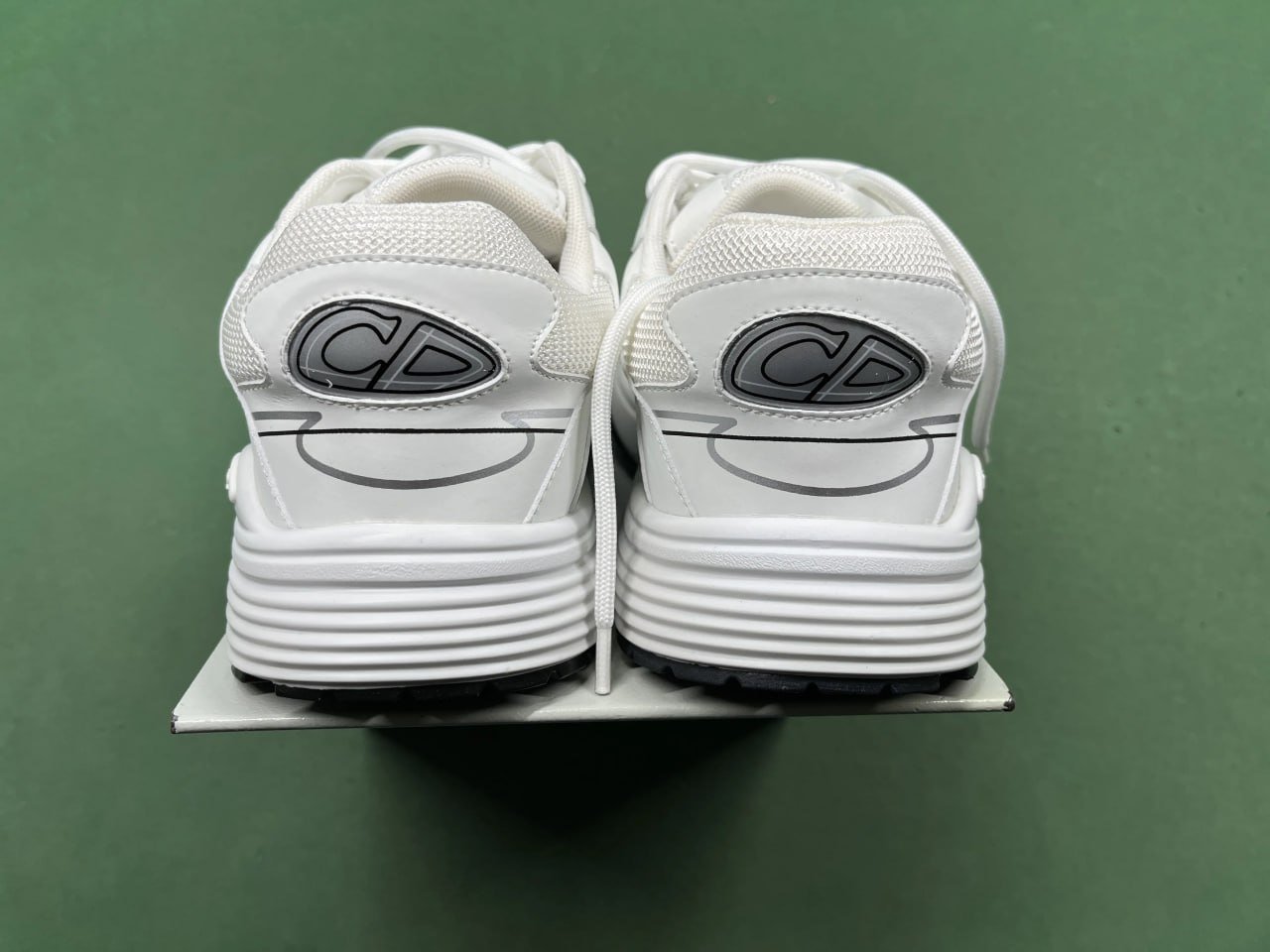 DIOR B30 