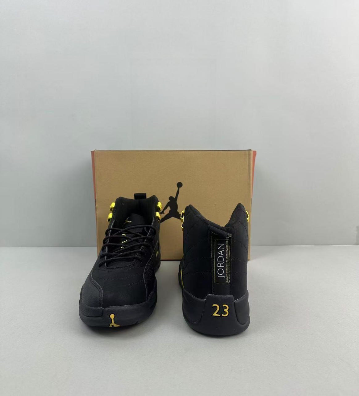 Air Jordan 12