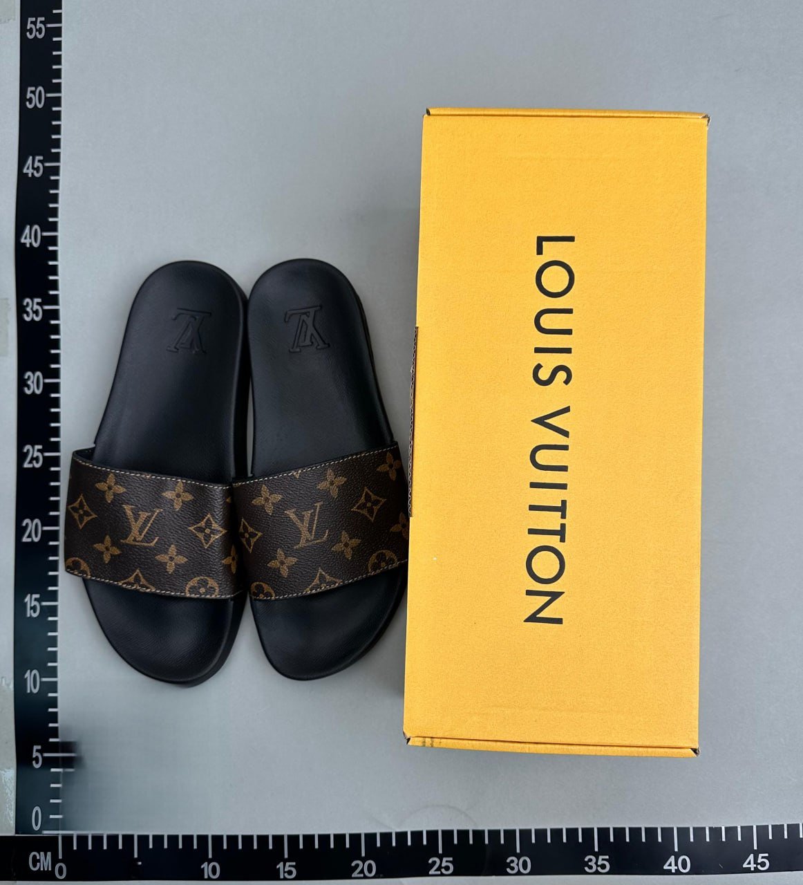 LV Slippers