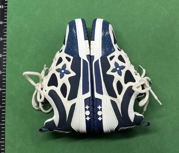 Louis vuitton sneakers LV Trainer Shoes