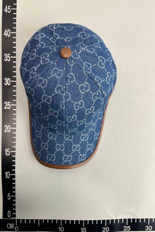 Gucci hat