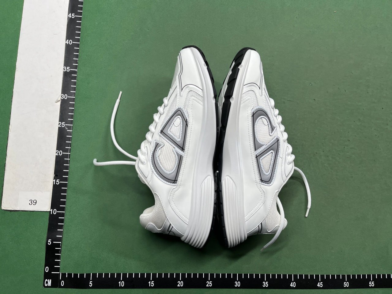  DIOR B30 shoes