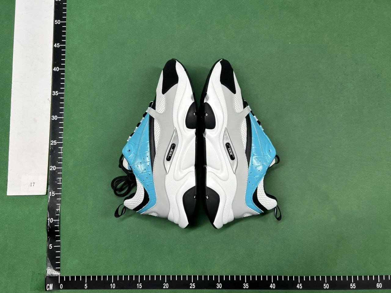 DIOR B22 B30