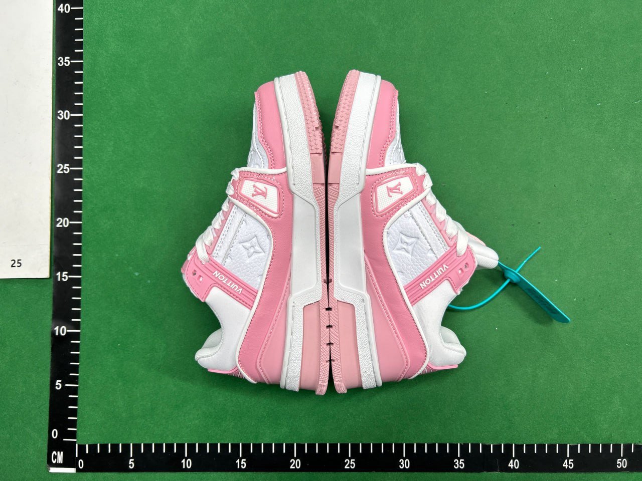 LV Trainer Shoes