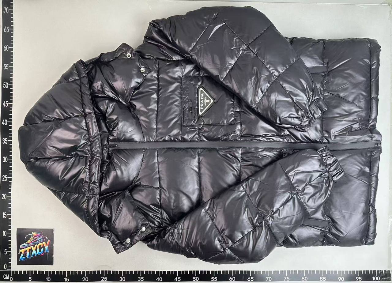 Article:Prada, LV, gucci, dior, down  Jacket